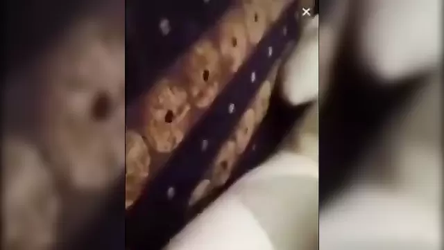 Turkish fucked horny slut in the hut